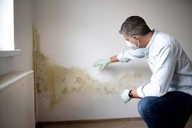 Best Emergency Mold Remediation  in Countryside, IL